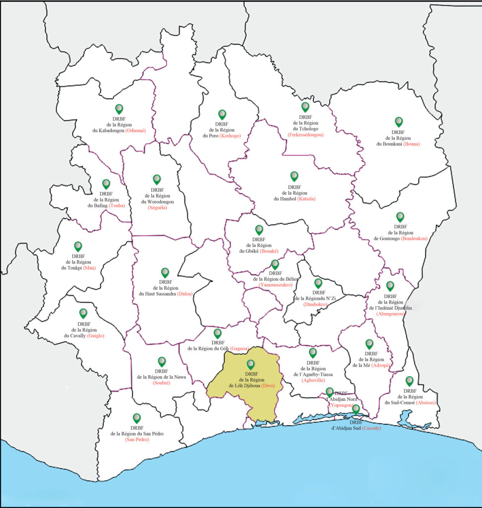 CARTE DIVO