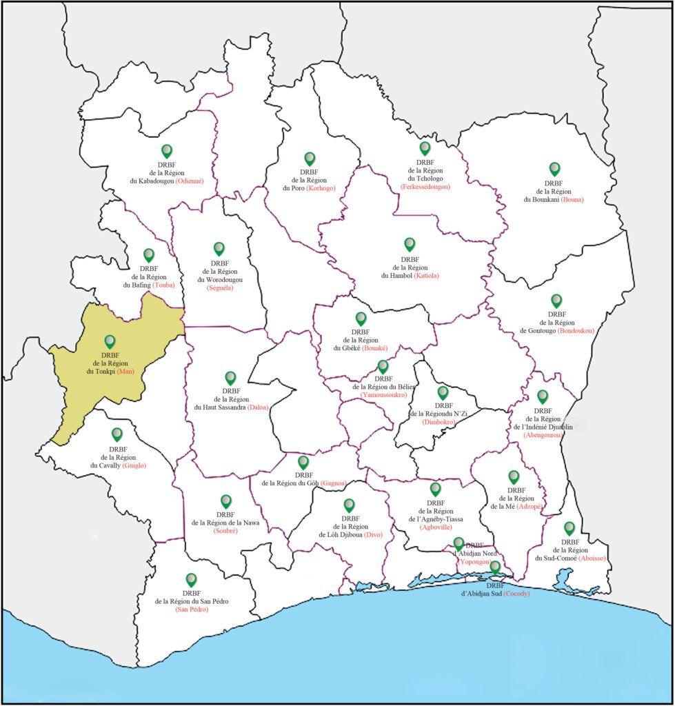 CARTE MAN