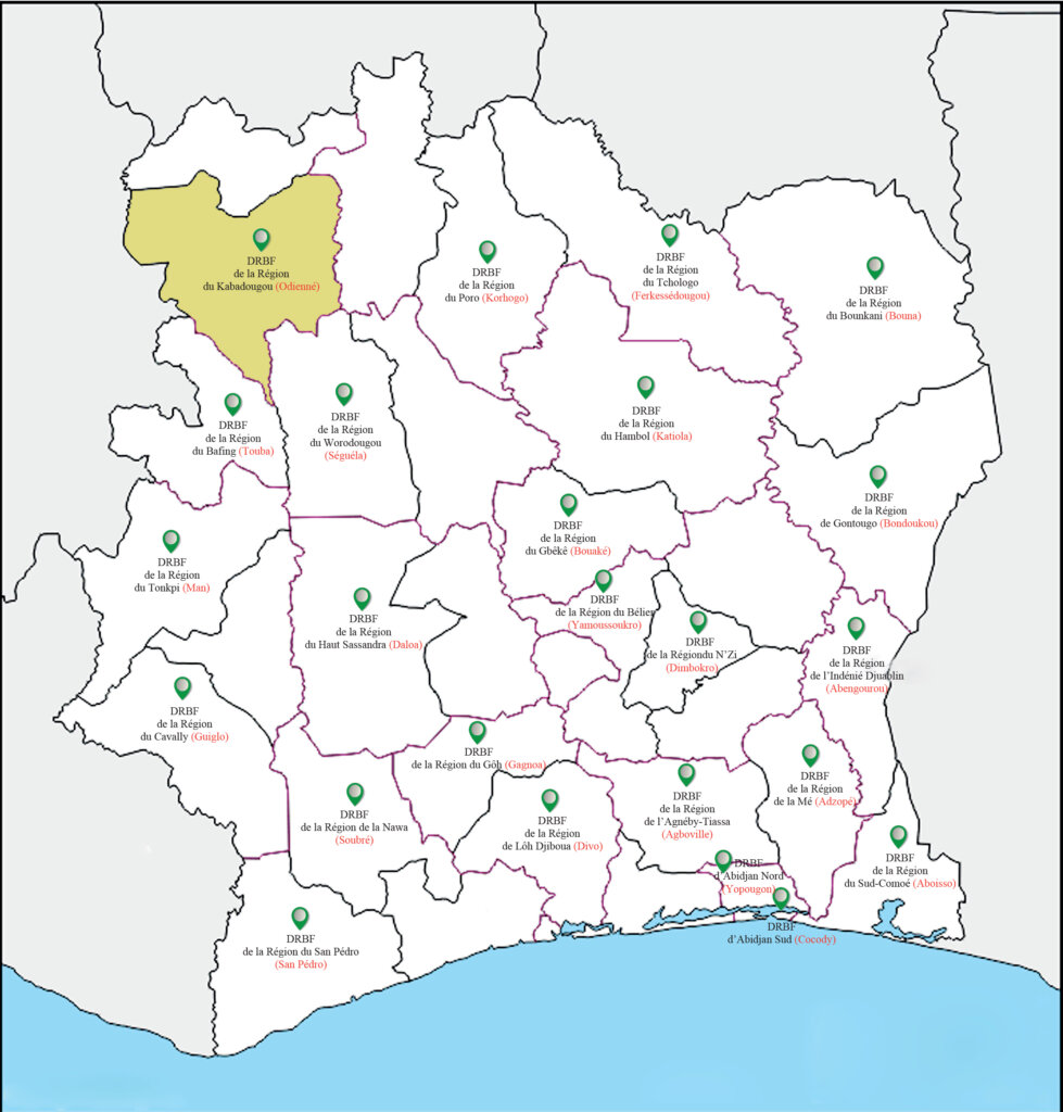 CARTE ODIENNE