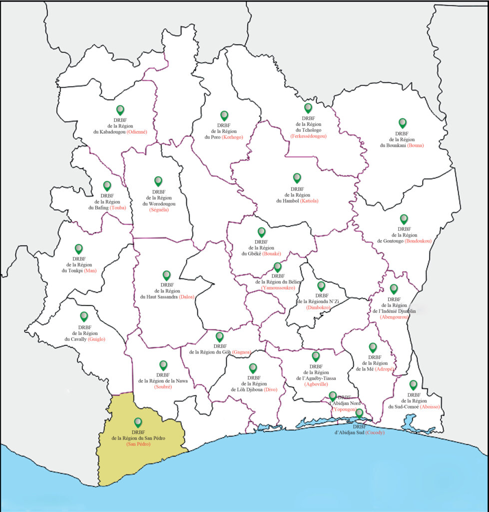 CARTE SAN PEDRO