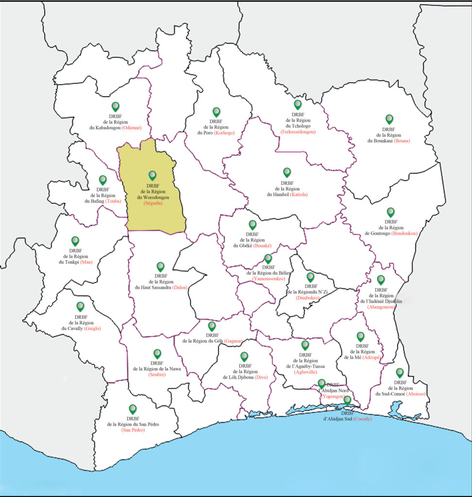 CARTE SEGUELA